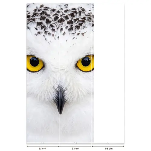 Sneeuwuil - Portret - Geel Behang Vlies klein -USP_banen