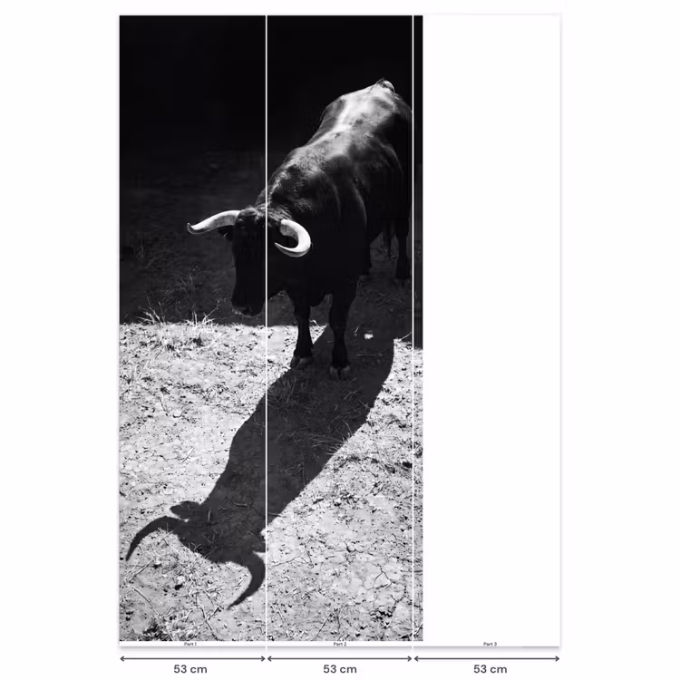 Stier - Schaduw - Dieren - Contrast - Zwart-wit Behang Vlies klein -USP_banen
