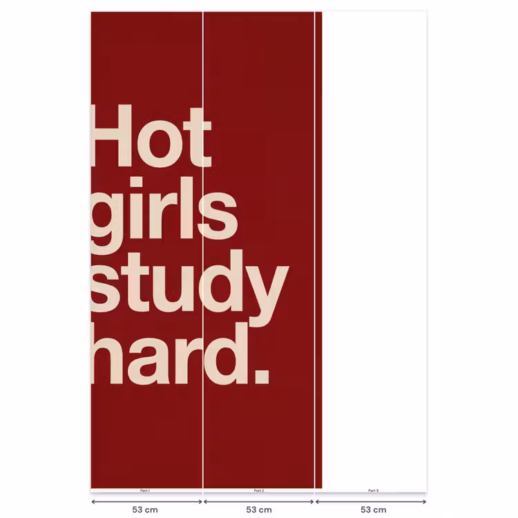 Tekst - Studie - Motivatie - Modern - Rood Behang Vlies klein -USP_banen