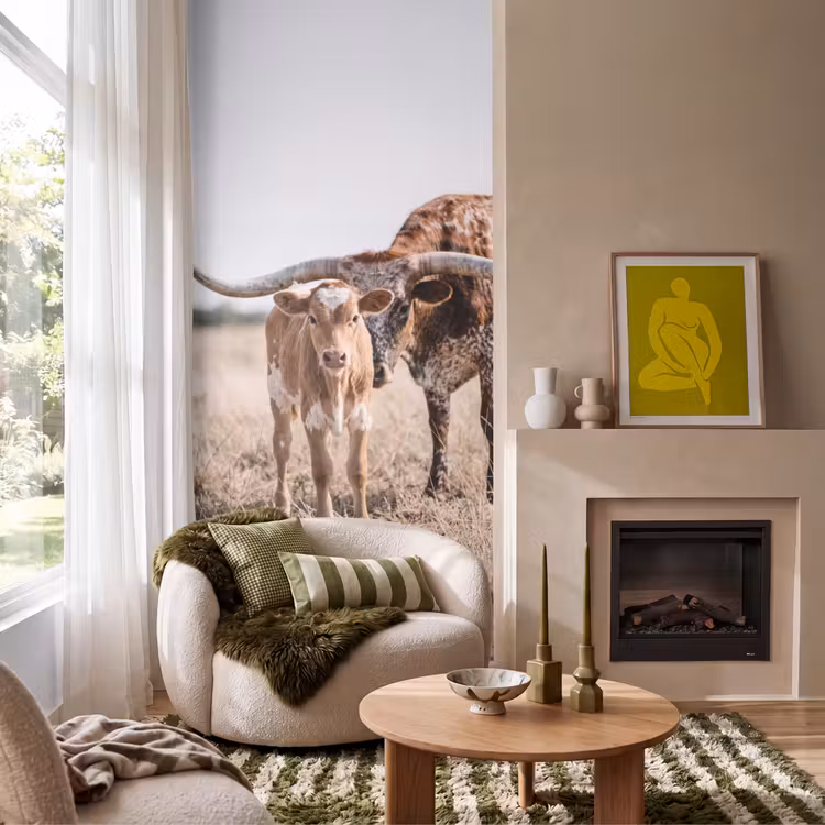 Texas Longhorn - Kalf - Weide - Dieren Behang Vlies klein -sfeer2