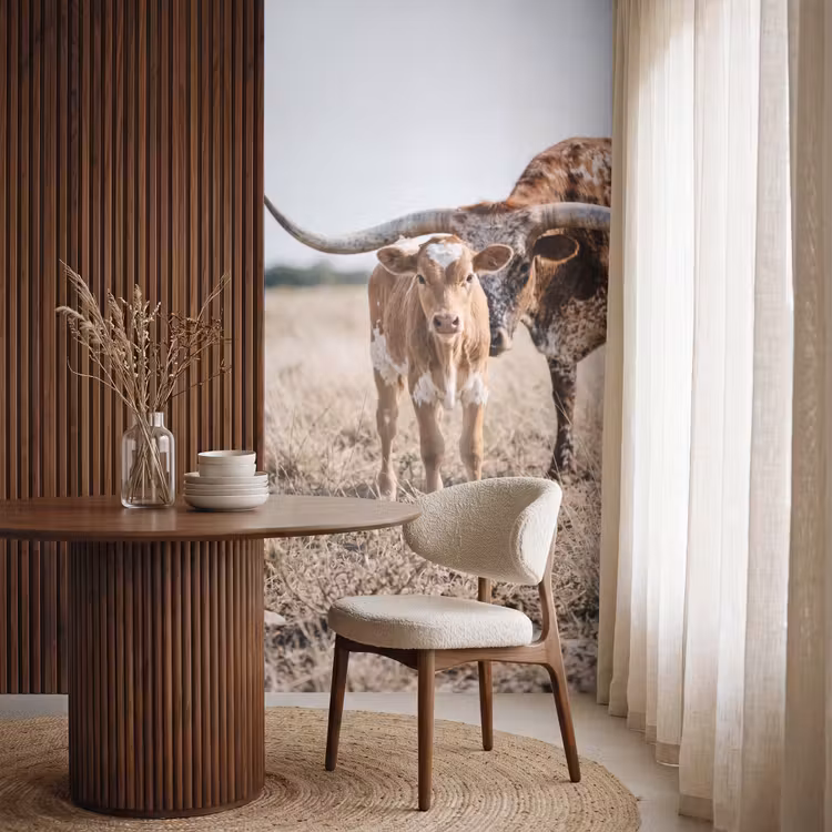 Texas Longhorn - Kalf - Weide - Dieren Behang Vlies klein -sfeer1