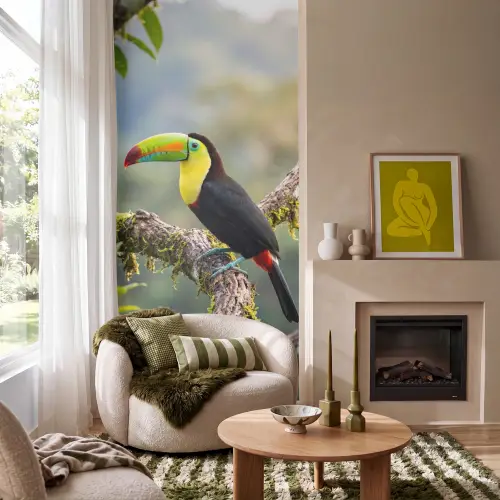 Toekan - Jungle - Natuur - Kleurrijk Behang Vlies klein -sfeer2
