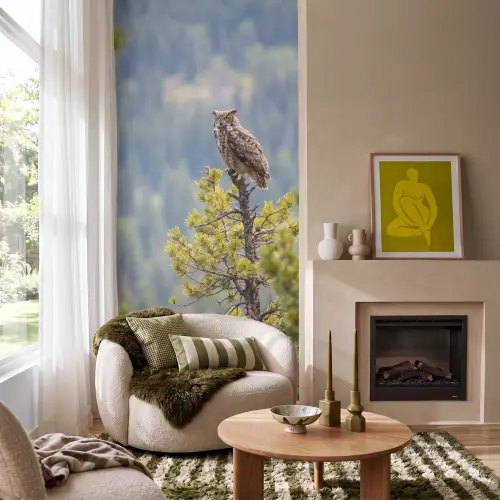 Uil - Oehoe - Bomen - Natuur Behang Vlies klein -sfeer2