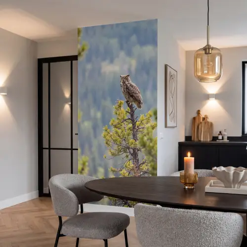 Uil - Oehoe - Bomen - Natuur Behang Vlies klein -sfeer3
