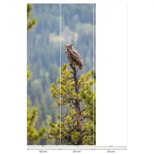Uil - Oehoe - Bomen - Natuur Behang Vlies klein -USP_banen