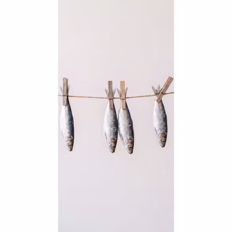 Behang - Vis - Hangend - Eten - Vis - Hangend - Eten Behang Vlies klein