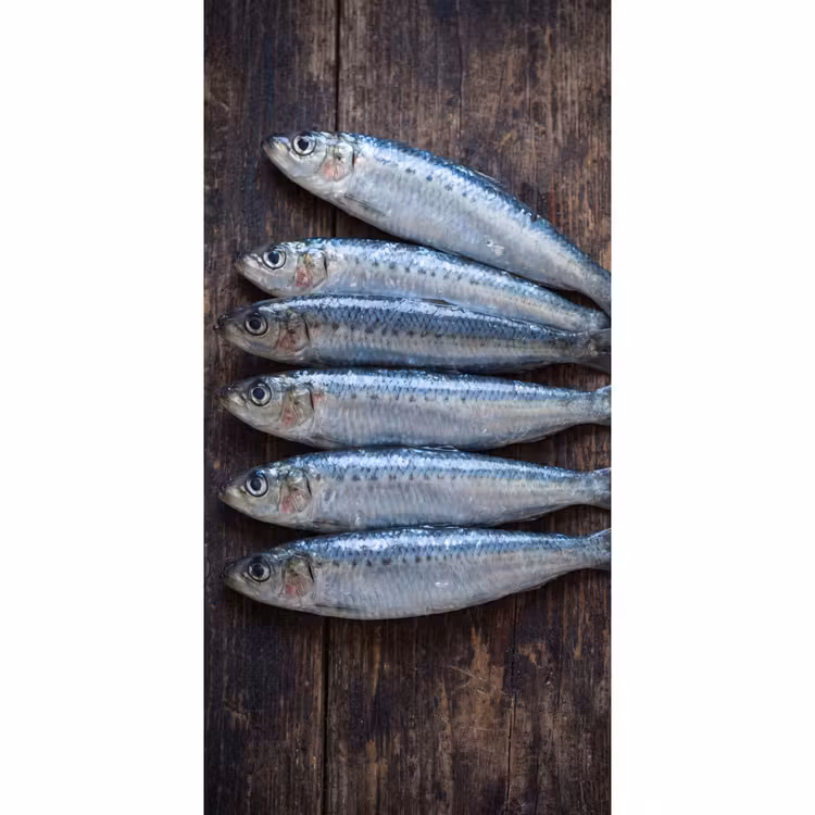 Behang - Vis - Hout - Eten - Vis - Hout - Eten Behang Vlies klein