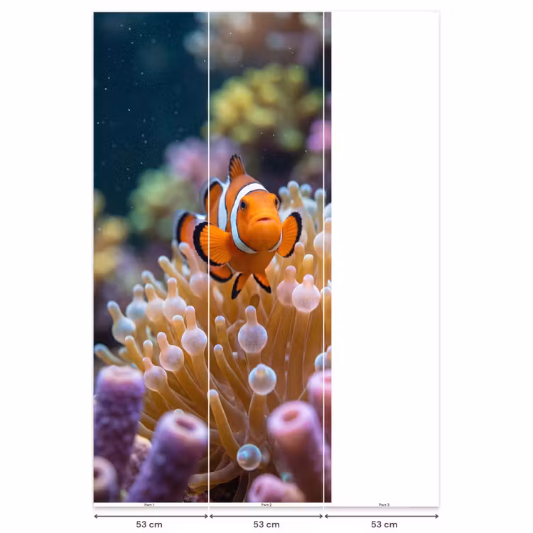 Vis - Koraal - Onderwater - Oranje - Dieren Behang Vlies klein -USP_banen