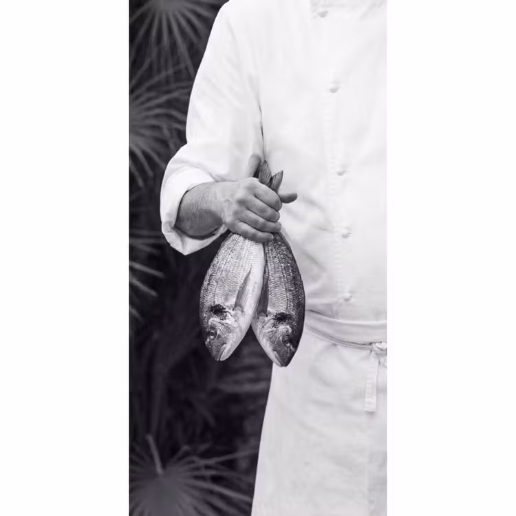 Vissen - Chef - Zwart - Wit Behang Vlies klein -3d_website