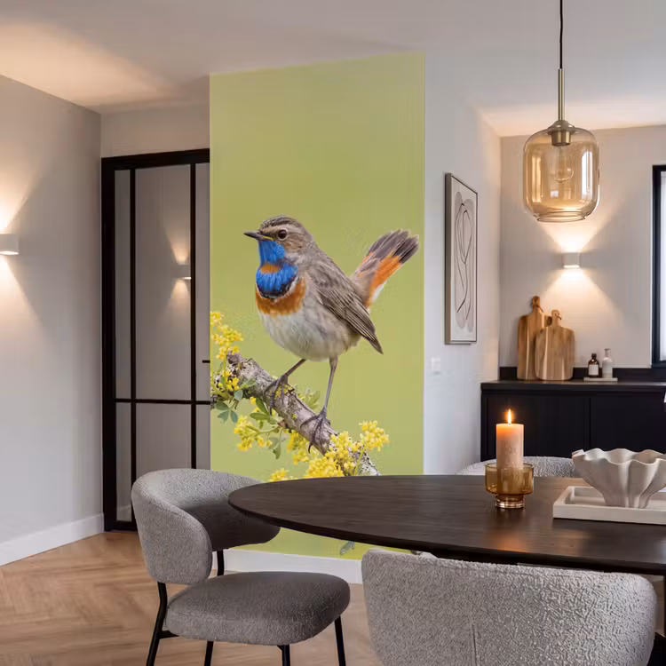 Vogel - Tak - Natuur - Kleurrijk Behang Vlies klein -sfeer3