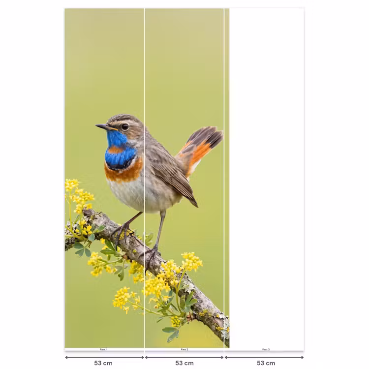 Vogel - Tak - Natuur - Kleurrijk Behang Vlies klein -USP_banen