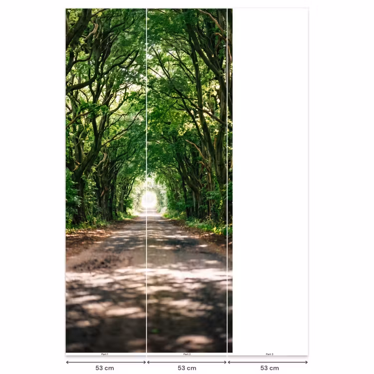 Weg - Bomen - Natuur - Groen Behang Vlies klein -USP_banen