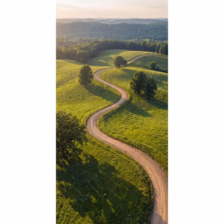 Weg - Weide - Natuur - Groen Behang Vlies klein -3d_website
