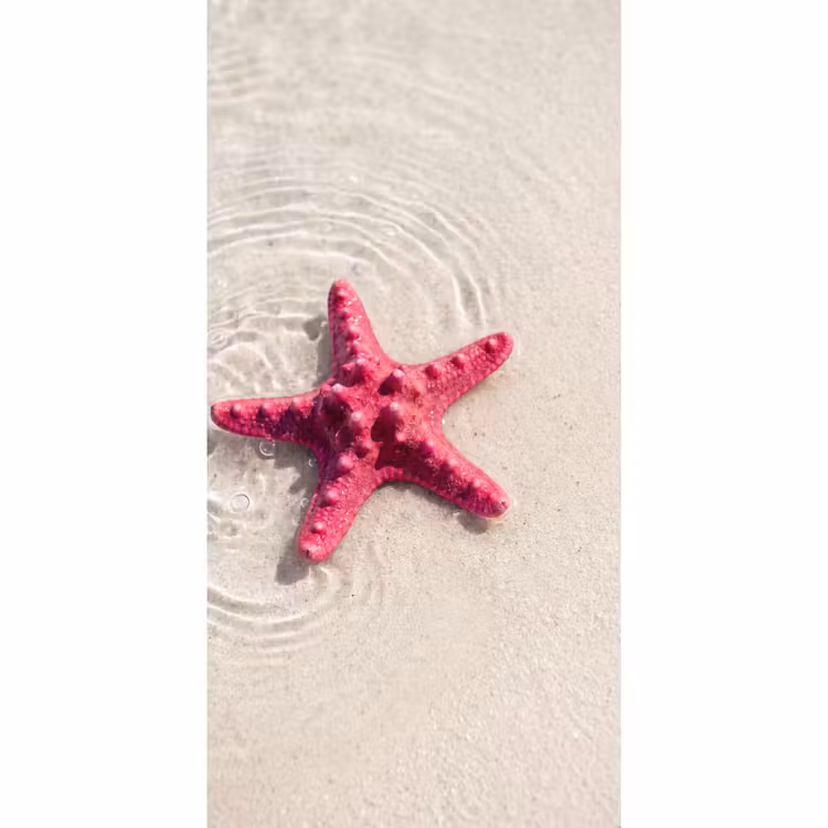Zeeleven - Zeester - Strand - Roze - Water Behang Vlies klein -3d_website