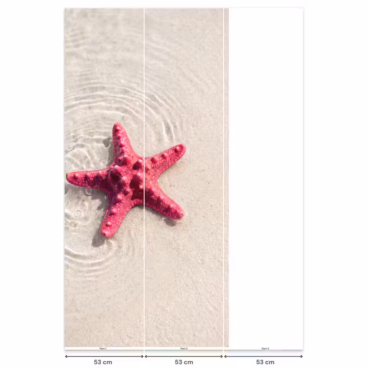 Zeeleven - Zeester - Strand - Roze - Water Behang Vlies klein -USP_banen