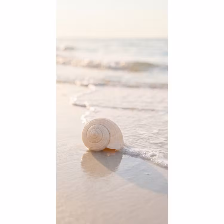 Zeeschelp - Strand - Zee - Natuur - Beige Behang Vlies klein -3d_website
