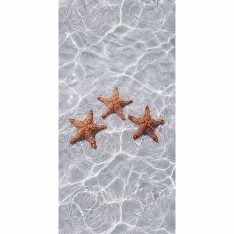 Zeesterren - Water - Helder Behang Vlies klein -3d_website