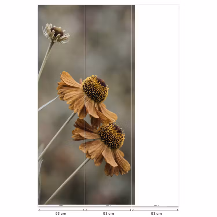 Zonnehoed - Droogbloemen - Geel - Warm Behang Vlies klein -USP_banen