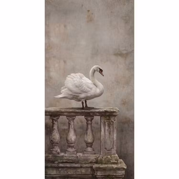 Zwaan - Elegant - Dieren - Wit Behang Vlies klein -3d_website