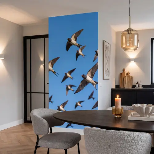 Zwaluwen - Vliegen - Blauw Behang Vlies klein -sfeer3