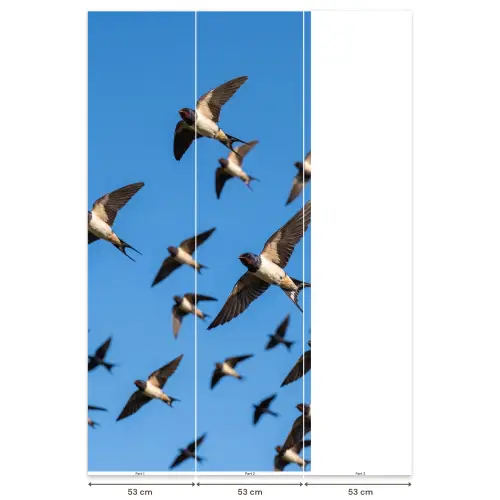 Zwaluwen - Vliegen - Blauw Behang Vlies klein -USP_banen