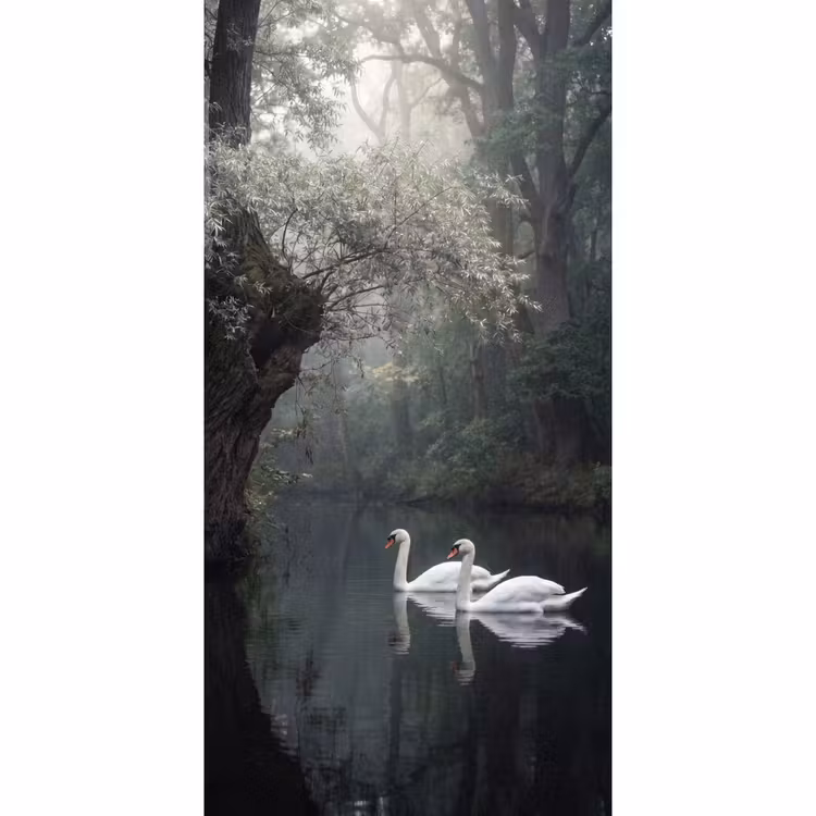 Zwanen - Rivier - Bos Behang Vlies klein -3d_website