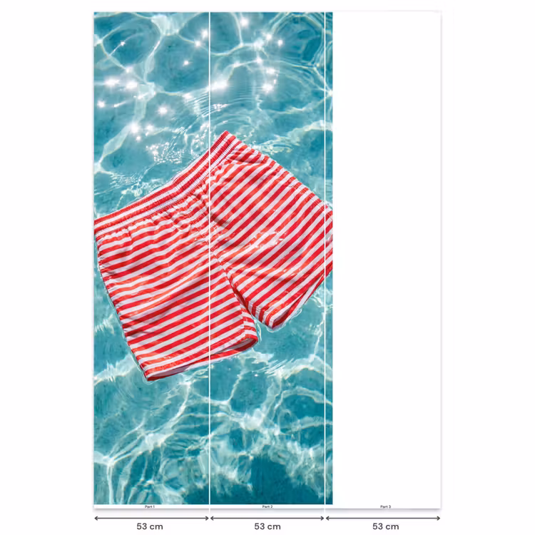 Zwemkleding - Gestreept - Water - Zomer - Rood-wit Behang Vlies klein -USP_banen