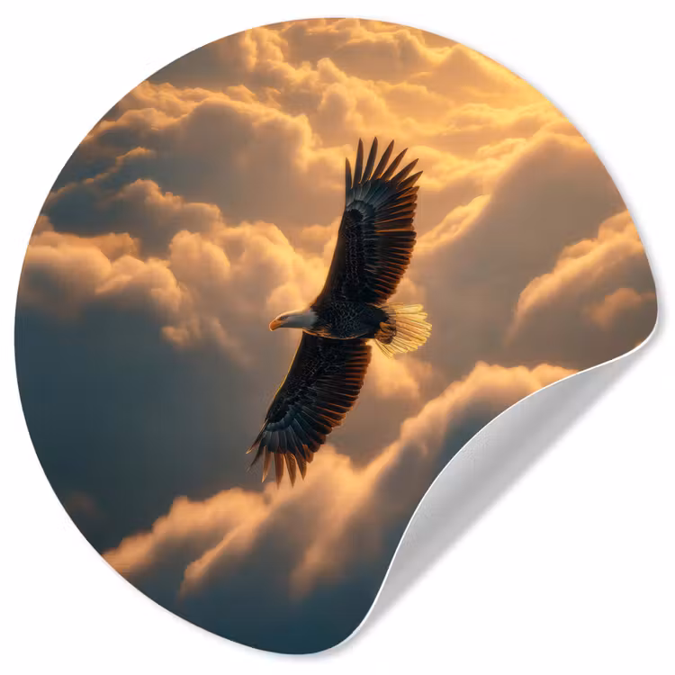 Adelaar - Wolken - Zon Wandcirkel behangsticker klein -3d