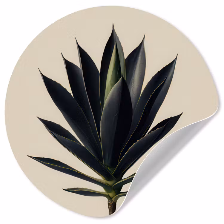 Agaveplant - Symmetrisch - Groen Wandcirkel behangsticker klein -3d