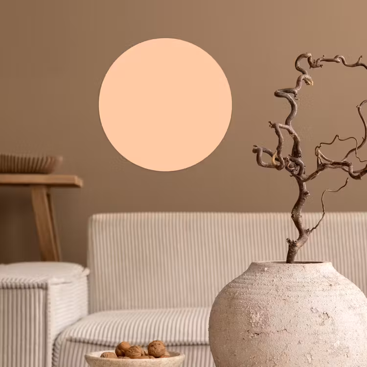 Apricot - Blush - Nude Wandcirkel behangsticker klein 186 -sfeer1