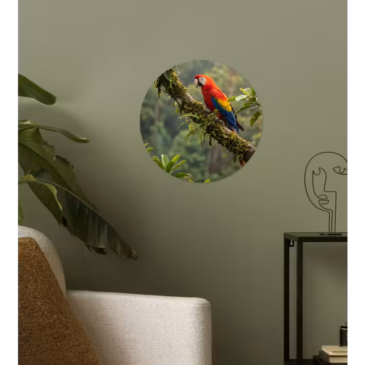 Ara - Jungle - Rood Wandcirkel behangsticker klein -sfeer2