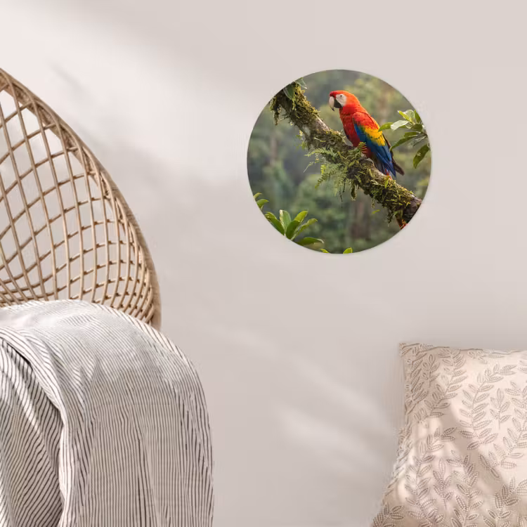 Ara - Jungle - Rood Wandcirkel behangsticker klein -sfeer4