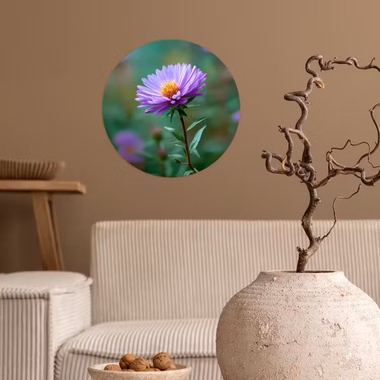 Aster - Paars - Bloem - Blaadjes Wandcirkel behangsticker klein -sfeer1
