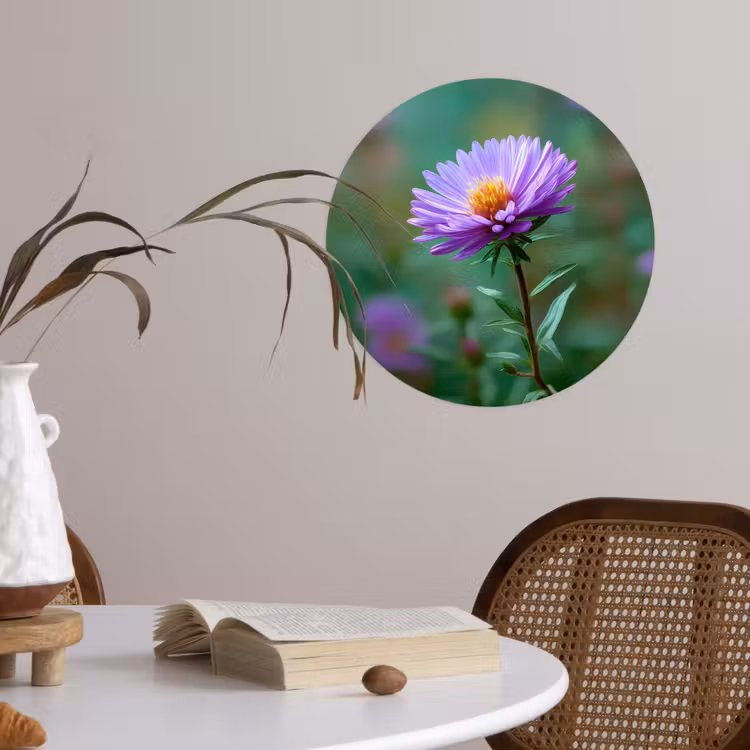 Aster - Paars - Bloem - Blaadjes Wandcirkel behangsticker klein -sfeer3