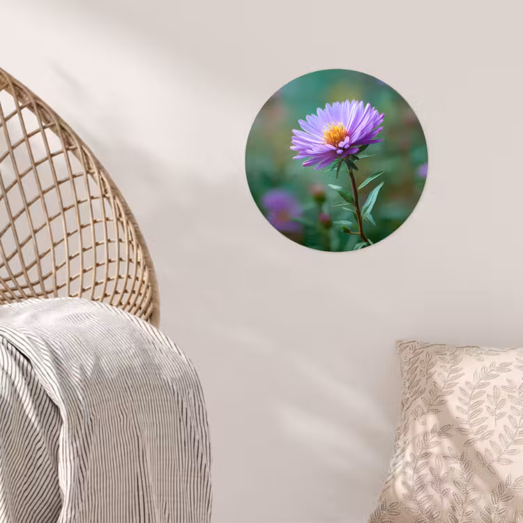 Aster - Paars - Bloem - Blaadjes Wandcirkel behangsticker klein -sfeer4