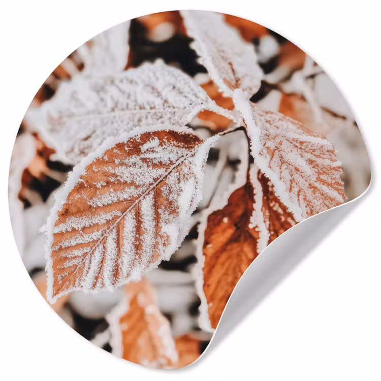 Bladeren - IJs - Winter - Natuur Wandcirkel behangsticker klein -3d