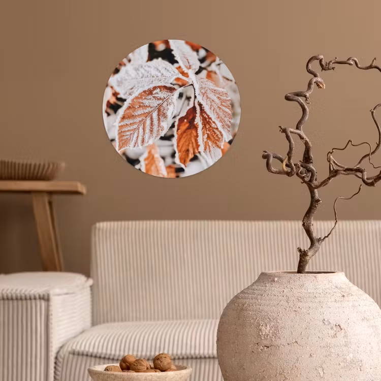 Bladeren - IJs - Winter - Natuur Wandcirkel behangsticker klein -sfeer1