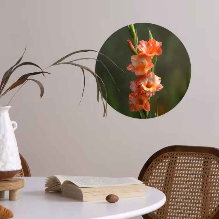 Bloem - Gladiolen - Zalmroze Wandcirkel behangsticker klein -sfeer3