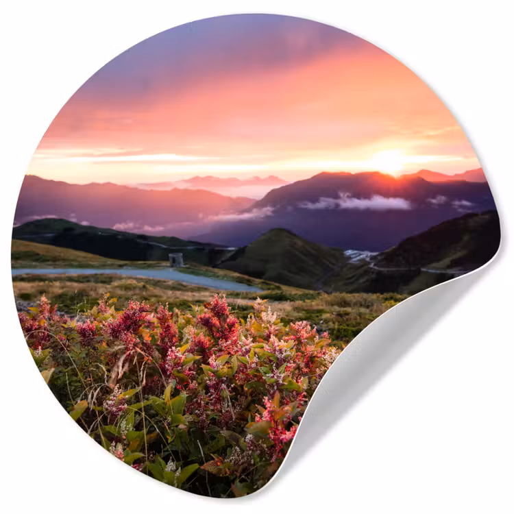 Bloemen - Bergen - Landschap - Nacht - Lucht - Roze Wandcirkel behangsticker klein -3d