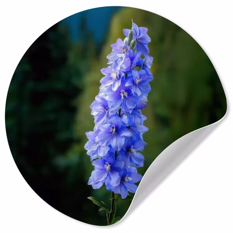 Bloemen - Blauw - Dennenboom Wandcirkel behangsticker klein -3d