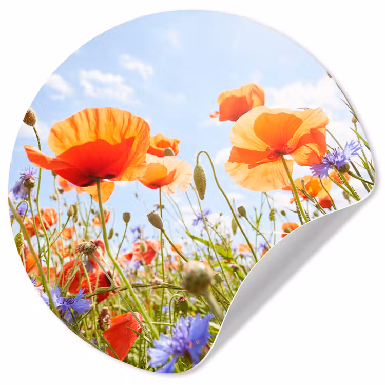 Bloemen - Klaproos - Lente - Natuur - Rood - Blauw Wandcirkel behangsticker klein -3d