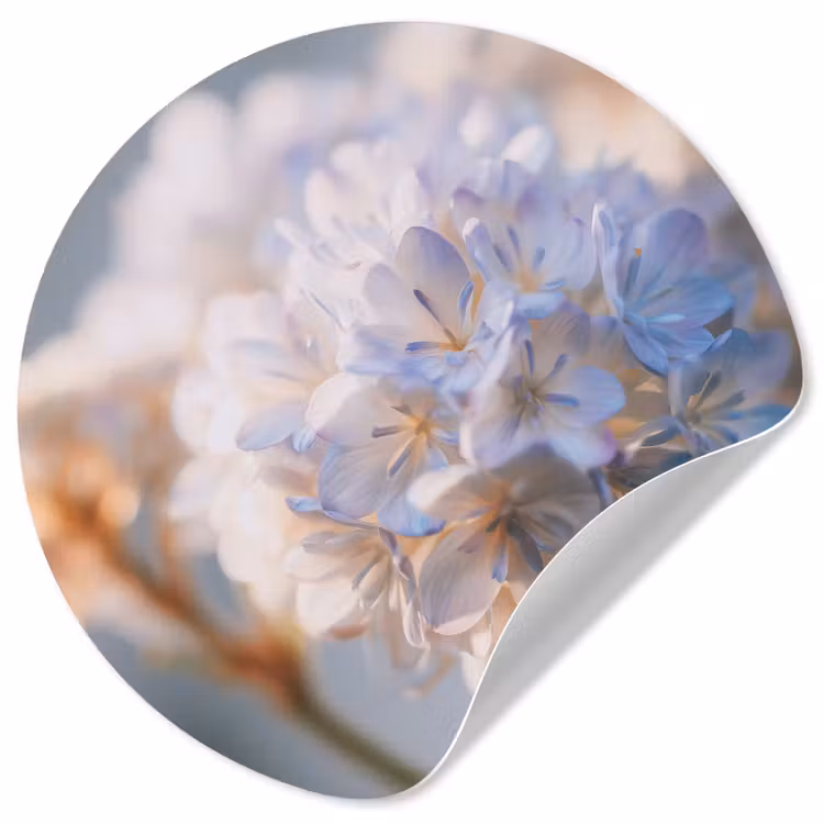 Bloemen - Lichtblauw - Wazig - Trosje Wandcirkel behangsticker klein -3d