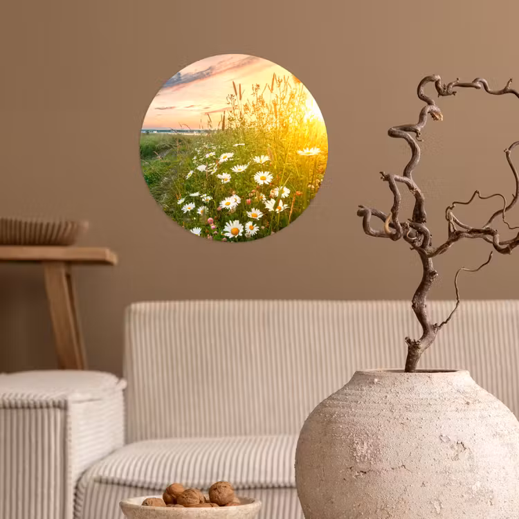 Bloemen - Madelief - Natuur - Zon - Horizon Wandcirkel behangsticker klein -sfeer1