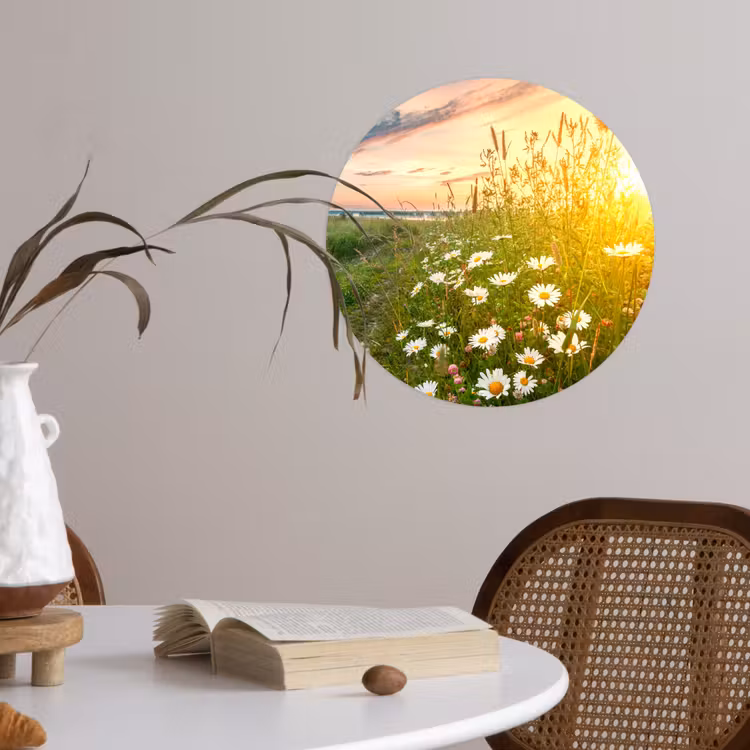 Bloemen - Madelief - Natuur - Zon - Horizon Wandcirkel behangsticker klein -sfeer3