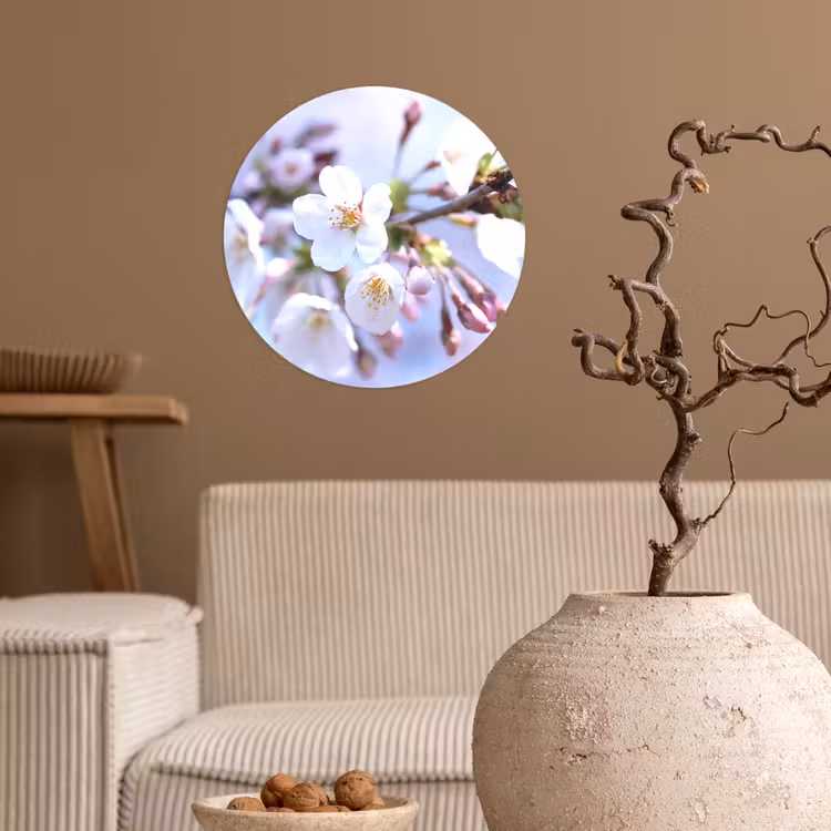 Bloemen - Sakura - Tak - Bloesem takken Wandcirkel behangsticker klein -sfeer1