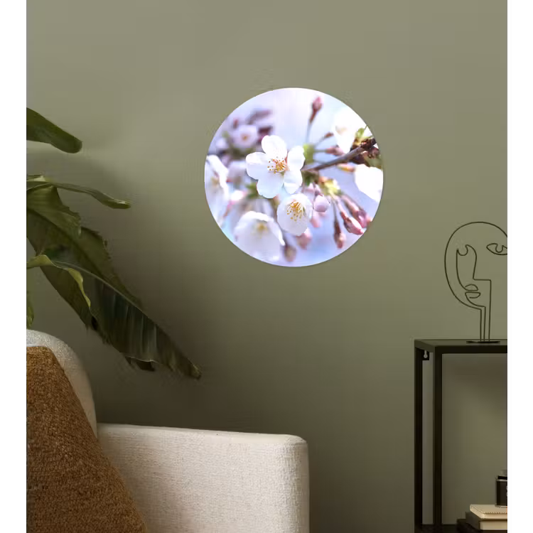 Bloemen - Sakura - Tak - Bloesem takken Wandcirkel behangsticker klein -sfeer2