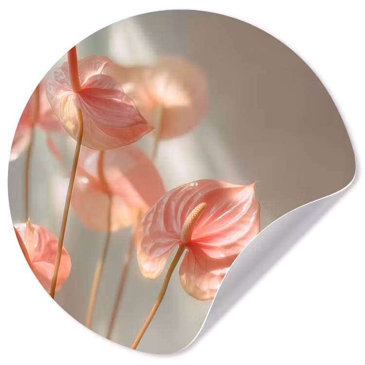 Bloemen - Stelen - Roze - Schaduw Wandcirkel behangsticker klein -3d