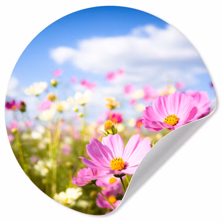 Bloemen - Wei - Paars - Gras - Wit - Wolken - Blauw Wandcirkel behangsticker klein -3d