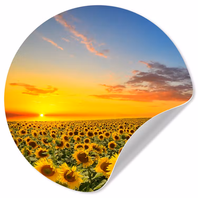 Bloemen - Zonnebloem - Zonsondergang - Nacht - Oranje Wandcirkel behangsticker klein -3d
