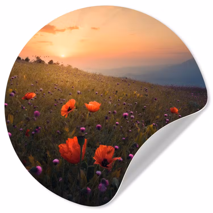 Bloemenveld - Gras - Bloemen - Planten - Zonsondergang - Oranje Wandcirkel behangsticker klein -3d